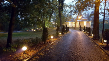 Картинка природа парк фонари аллея