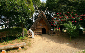 Картинка природа парк шалаш