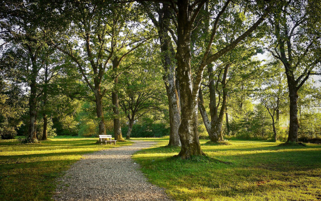 Обои картинки фото природа, парк, скамейка, аллея