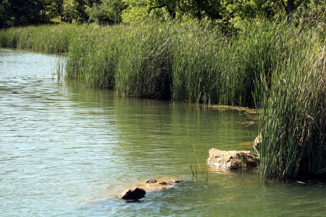 Обои картинки фото природа, реки, озера, река, вода