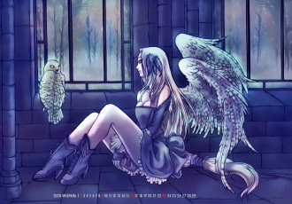 обоя календари, фэнтези, окно, сова, птица, девушка, ангел, крылья, помещение, calendar, 2020