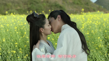 Картинка кино+фильмы joy+of+life+ qing+yu+nian радость жизни joy of life qing yu nian