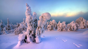 Картинка природа зима снег сугробы