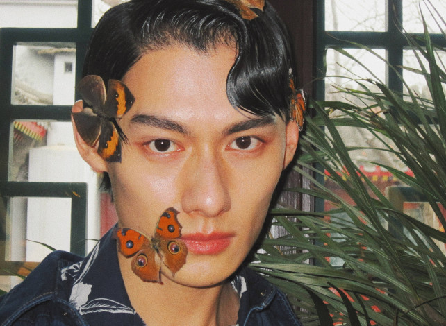 Обои картинки фото мужчины, wang zhuocheng, wang, zhuocheng, ван, чжочэн