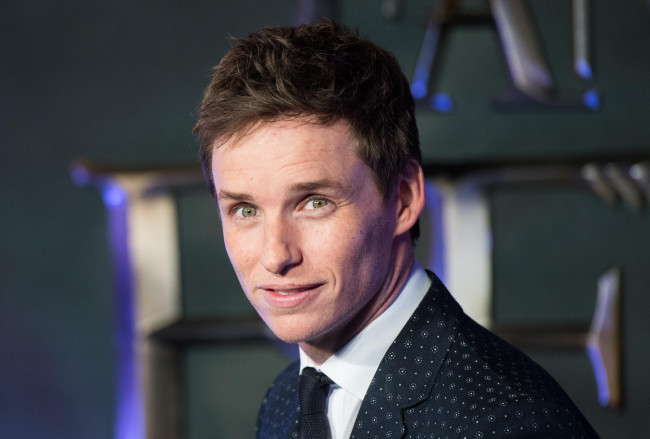 Обои картинки фото eddie redmayne, мужчины, актер, лицо