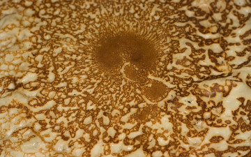 Картинка еда блины +оладьи блин