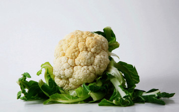 Картинка еда капуста+и+её+разновидности кочан капуста цветная