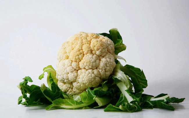 Обои картинки фото еда, капуста и её разновидности, кочан, капуста, цветная