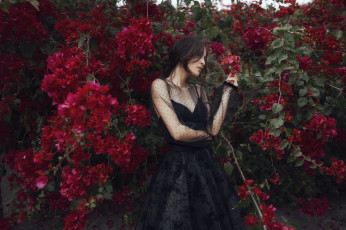 Картинка девушка+-+girl девушки -+азиатки девушка женщина брюнетка темноволосая сексуальная модель звезда позирует разная обувь верхняя стильная одежда нижнее эротическое бельё трусы лифчик колготки чулки аксессуары макияж и множество элементов на фотографии