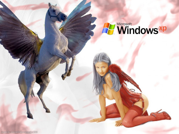 Обои картинки фото компьютеры, windows, xp