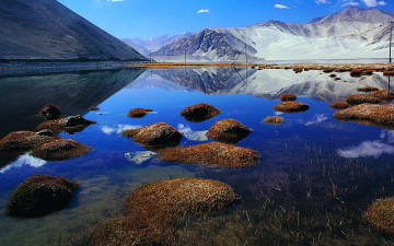 Картинка природа реки озера