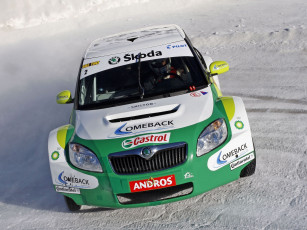 Картинка спорт авторалли