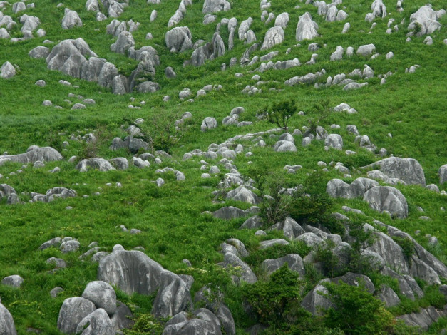 Обои картинки фото 