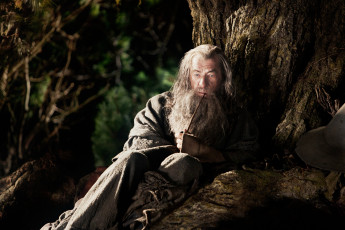 Картинка the hobbit an unexpected journey кино фильмы хоббит
