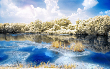 Картинка природа зима иней река деревья