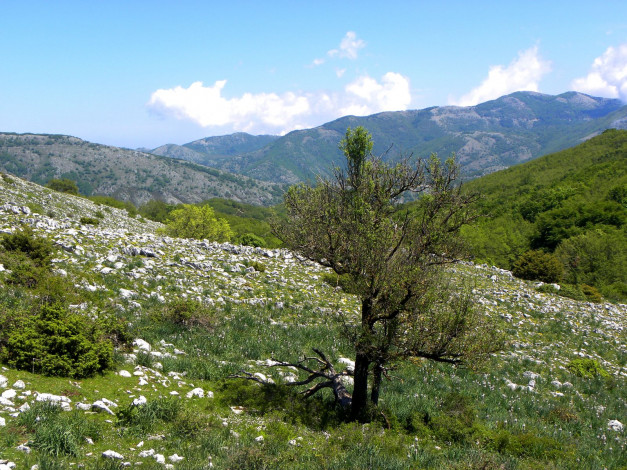 Обои картинки фото природа, горы, италия