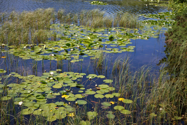 Обои картинки фото природа, реки, озера