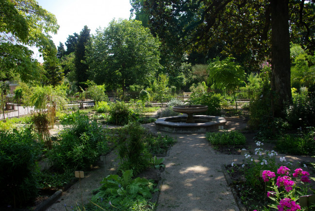 Обои картинки фото природа, парк, цветы, деревья, дорожки