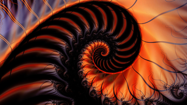 Обои картинки фото 3д, графика, fractal, фракталы, узор, цвет, фон