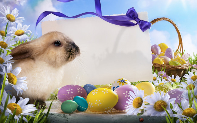 Обои картинки фото животные, кролики, зайцы, ромашки, лента, писанки, кролик