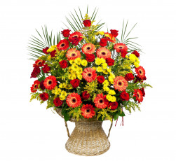 Картинка цветы букеты +композиции белый фон ваза букет розы