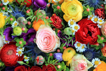 Картинка цветы разные+вместе розы эустома ранункулюс