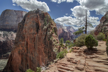 Картинка природа горы скалы терраса растительность