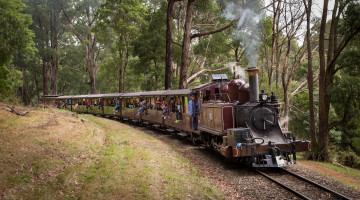Картинка техника паровозы поезд вагоны паровоз дорога железная