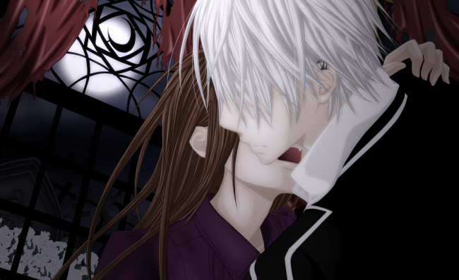 Обои картинки фото аниме, vampire knight, луна, zero, yuki, vampire, knight