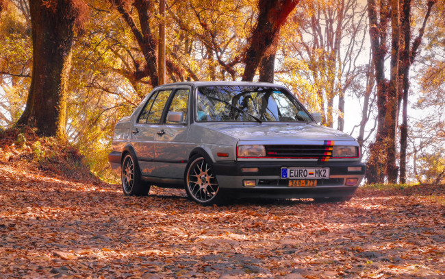 Обои картинки фото автомобили, volkswagen, vw