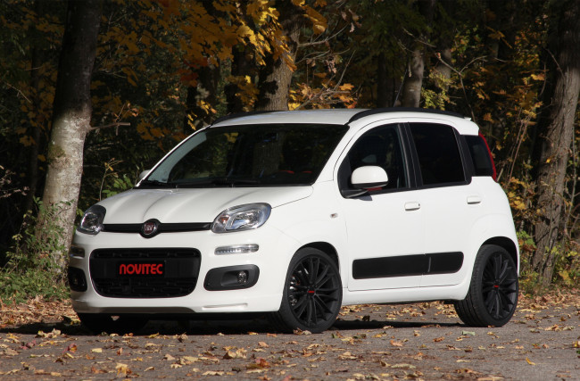 Обои картинки фото автомобили, fiat, novitec