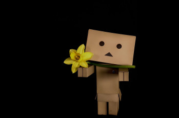 Картинка разное данбо+ danboard коробочка нарцисс фон чёрный цветок