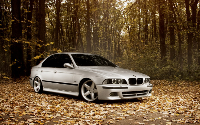 Обои картинки фото автомобили, bmw