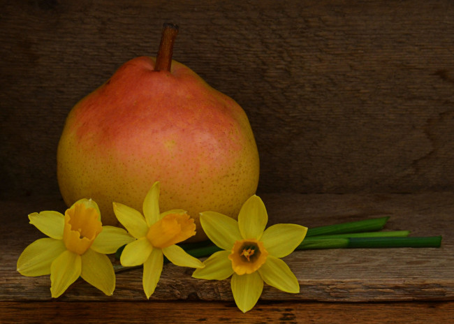 Обои картинки фото еда, груши, цветы, груша