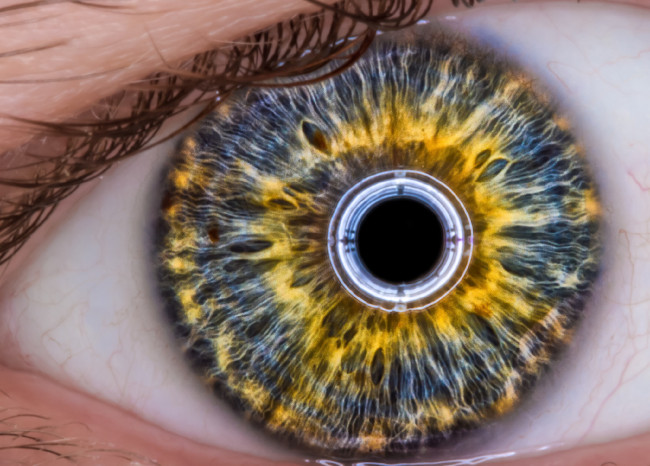 Обои картинки фото разное, глаза, радужка, зрачок, глаз