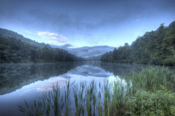 Картинка природа реки озера лес река