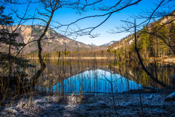 Картинка природа реки озера лес река