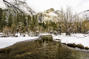 Картинка природа реки озера лес река