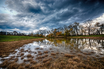 Картинка природа реки озера лес река