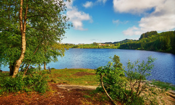 Картинка природа реки озера лес река