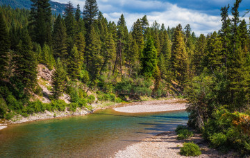 Картинка природа реки озера лес река