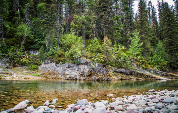 Картинка природа реки озера лес река