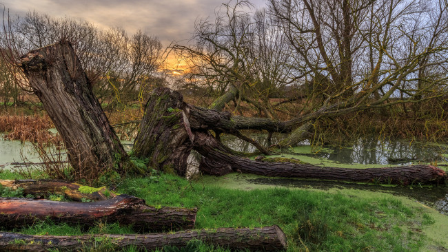 Обои картинки фото природа, реки, озера, лес, река