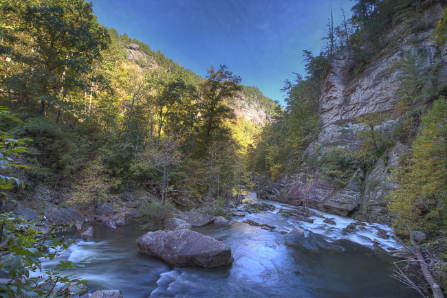 Обои картинки фото природа, реки, озера, лес, река