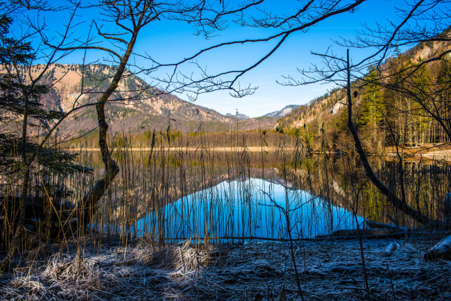 Обои картинки фото природа, реки, озера, лес, река