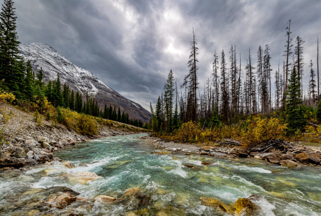 Обои картинки фото природа, реки, озера, лес, река