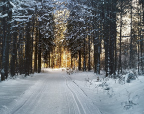 Картинка природа дороги дорога деревья снег