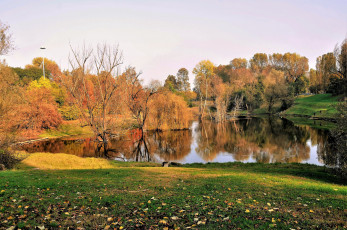 Картинка природа реки озера лес река