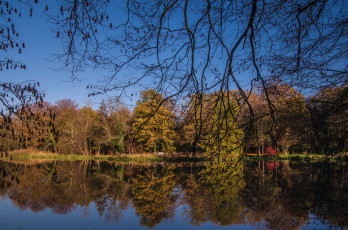 Картинка природа реки озера река лес