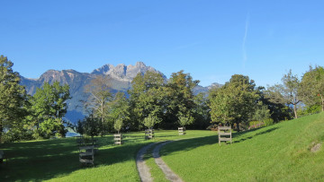 Картинка природа пейзажи дорога лес горы